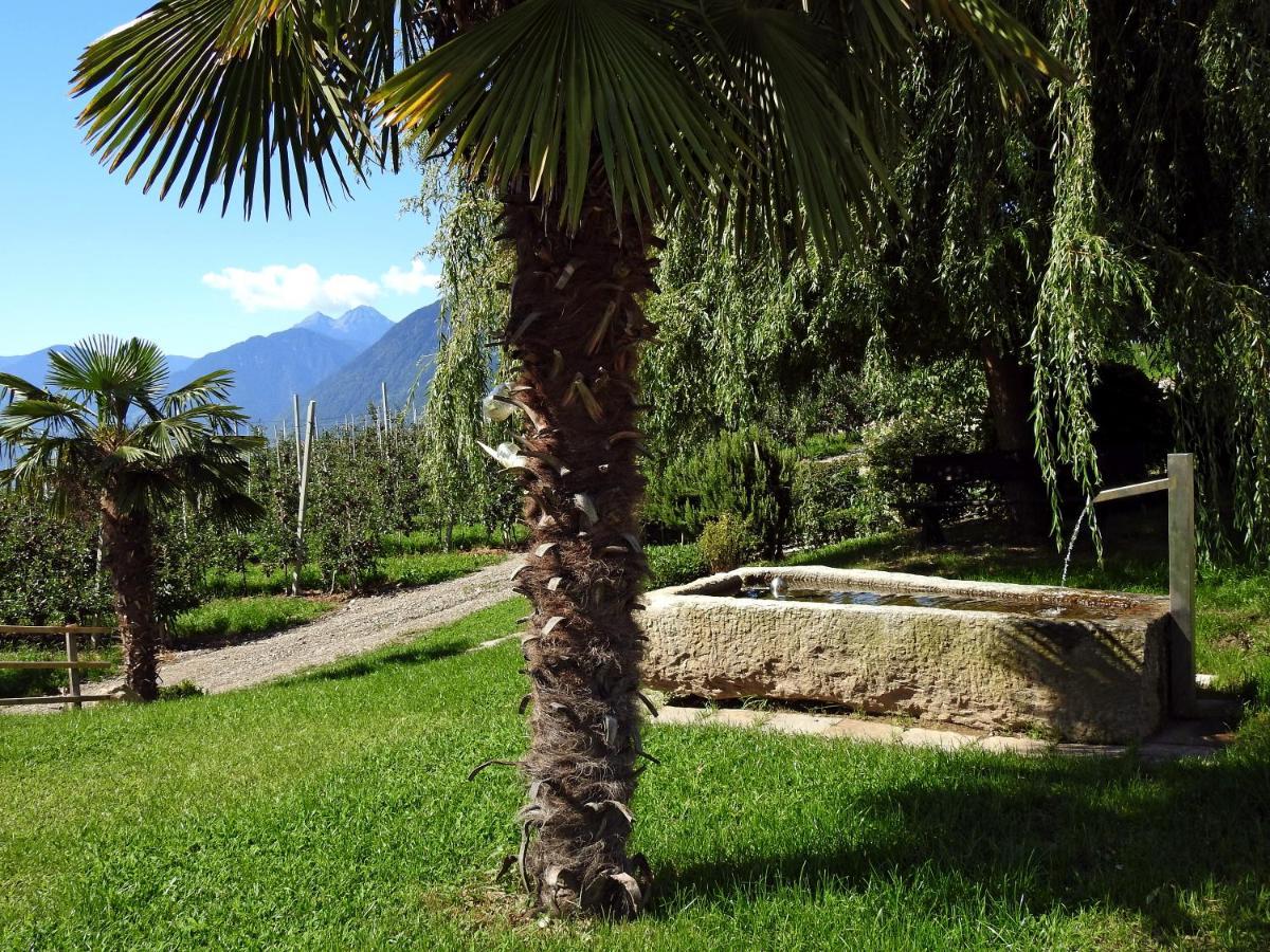 Platterhof Appartement Tirol