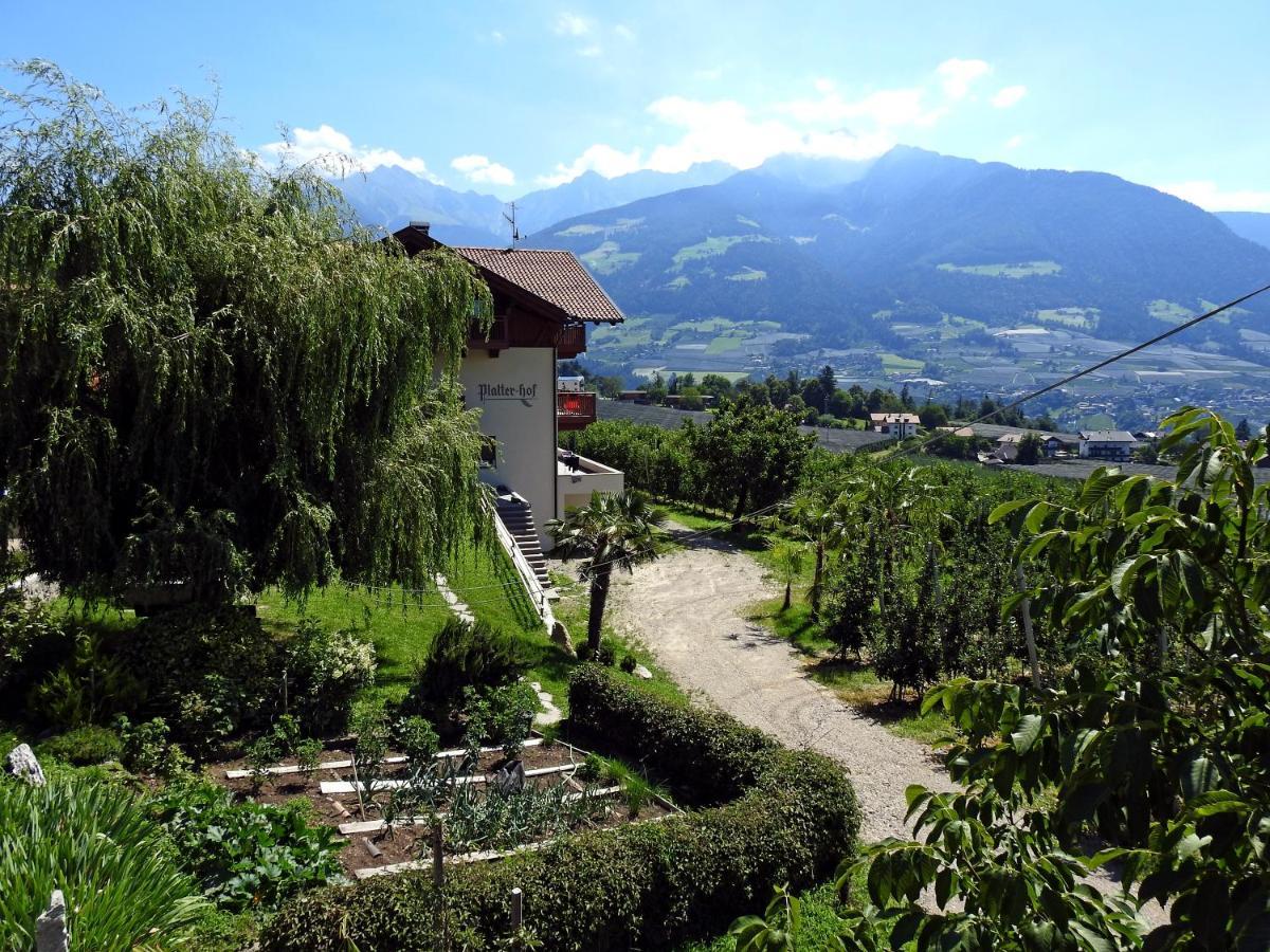 Platterhof Appartement *
