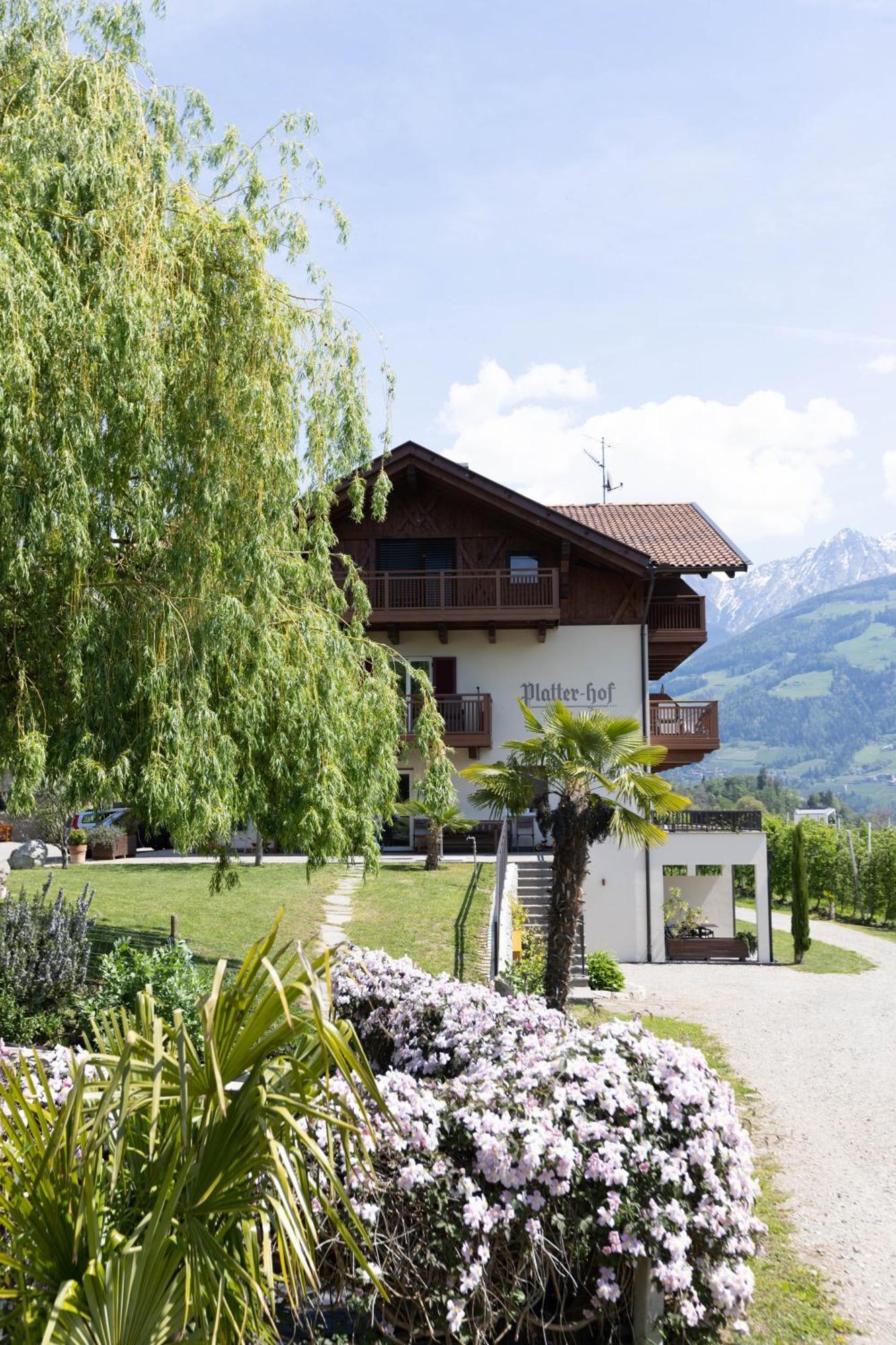 Apartment Platterhof *