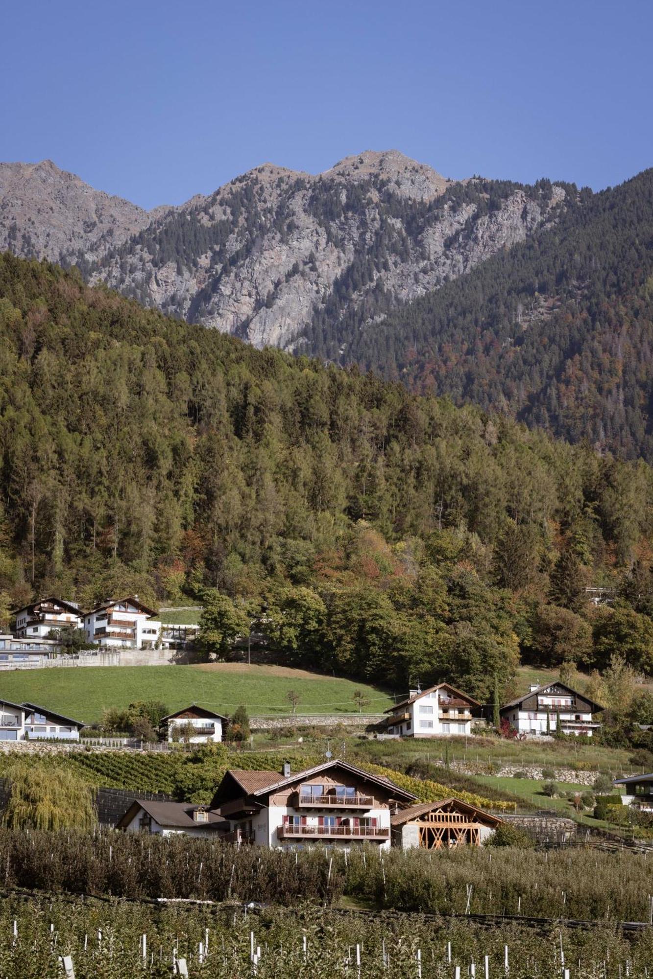 Platterhof Dorf Tirol