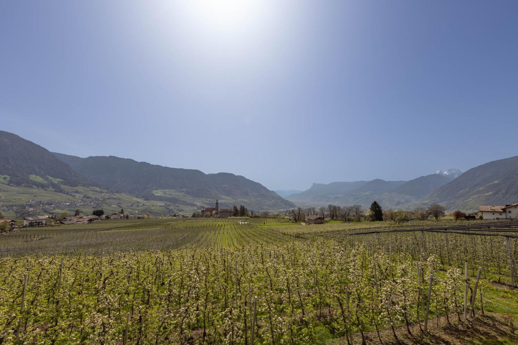 Platterhof * Tirol
