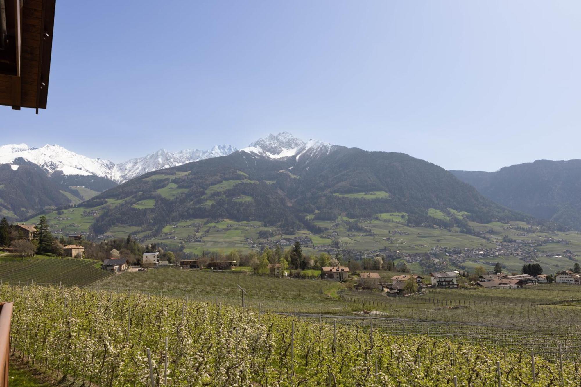 Platterhof