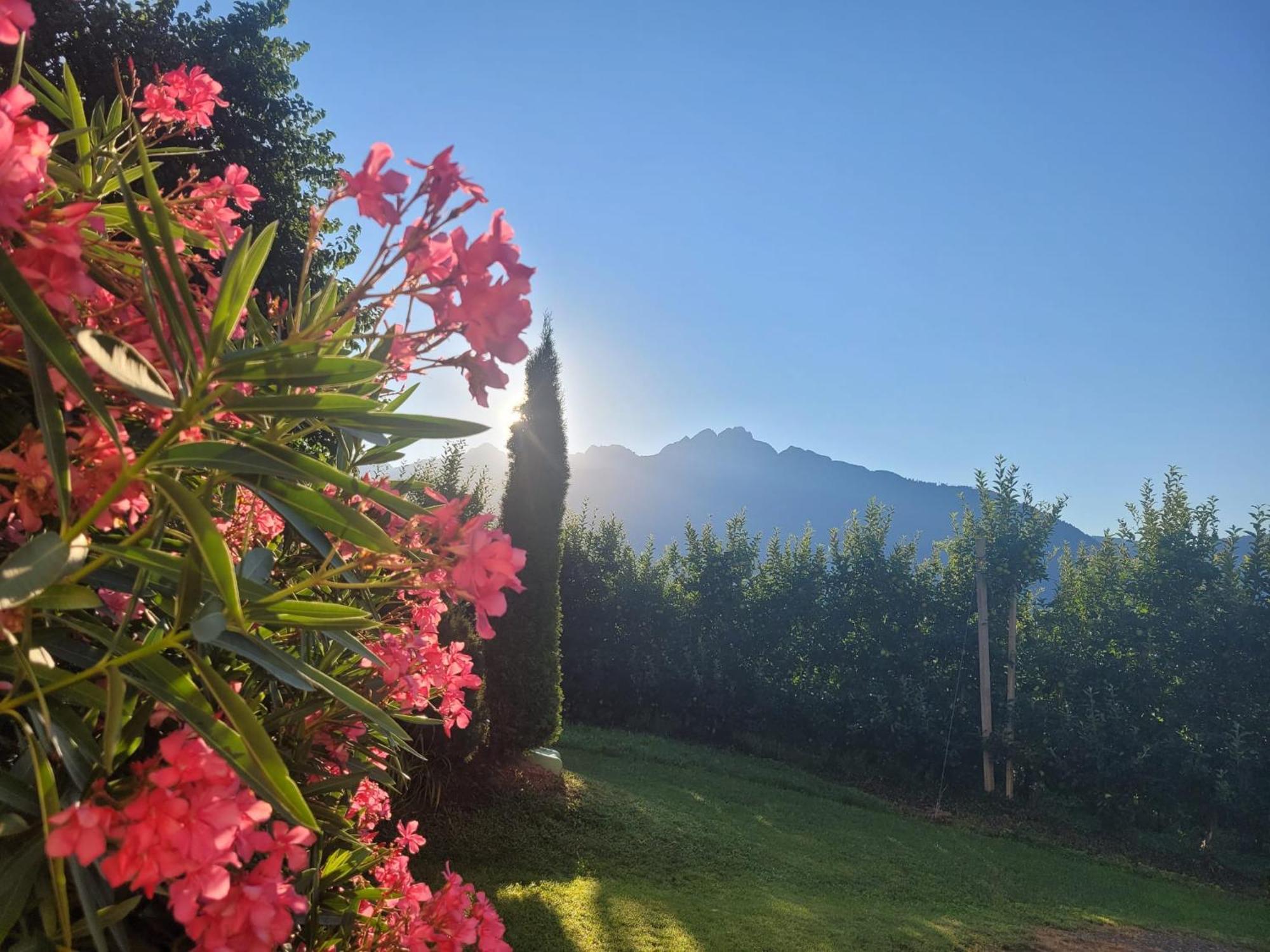 Platterhof Tirol